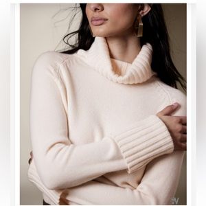 Banana Republic Cashmere Turtleneck Sweater